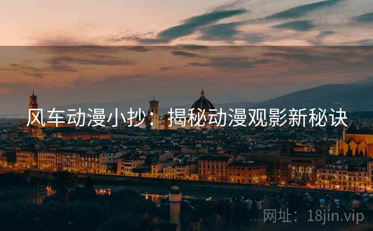 风车动漫小抄：揭秘动漫观影新秘诀